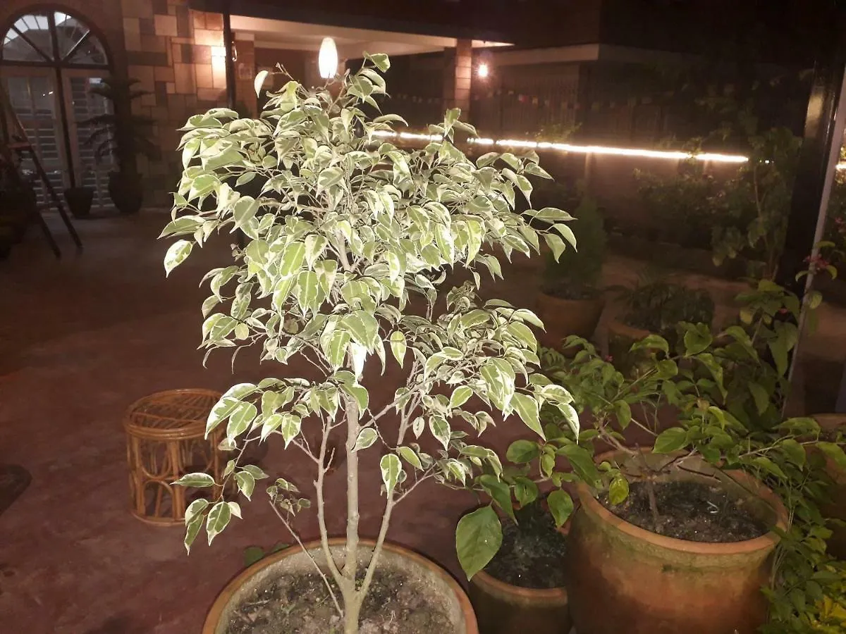 Namaste Kathmandu Bed And Breakfast Bed & Breakfast